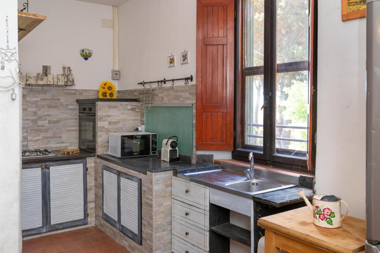 Casa Max - Venturina Terme Daire Campiglia Marittima Dış mekan fotoğraf